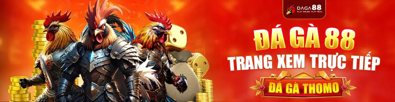 Đá gà vn58vip trực tuyến